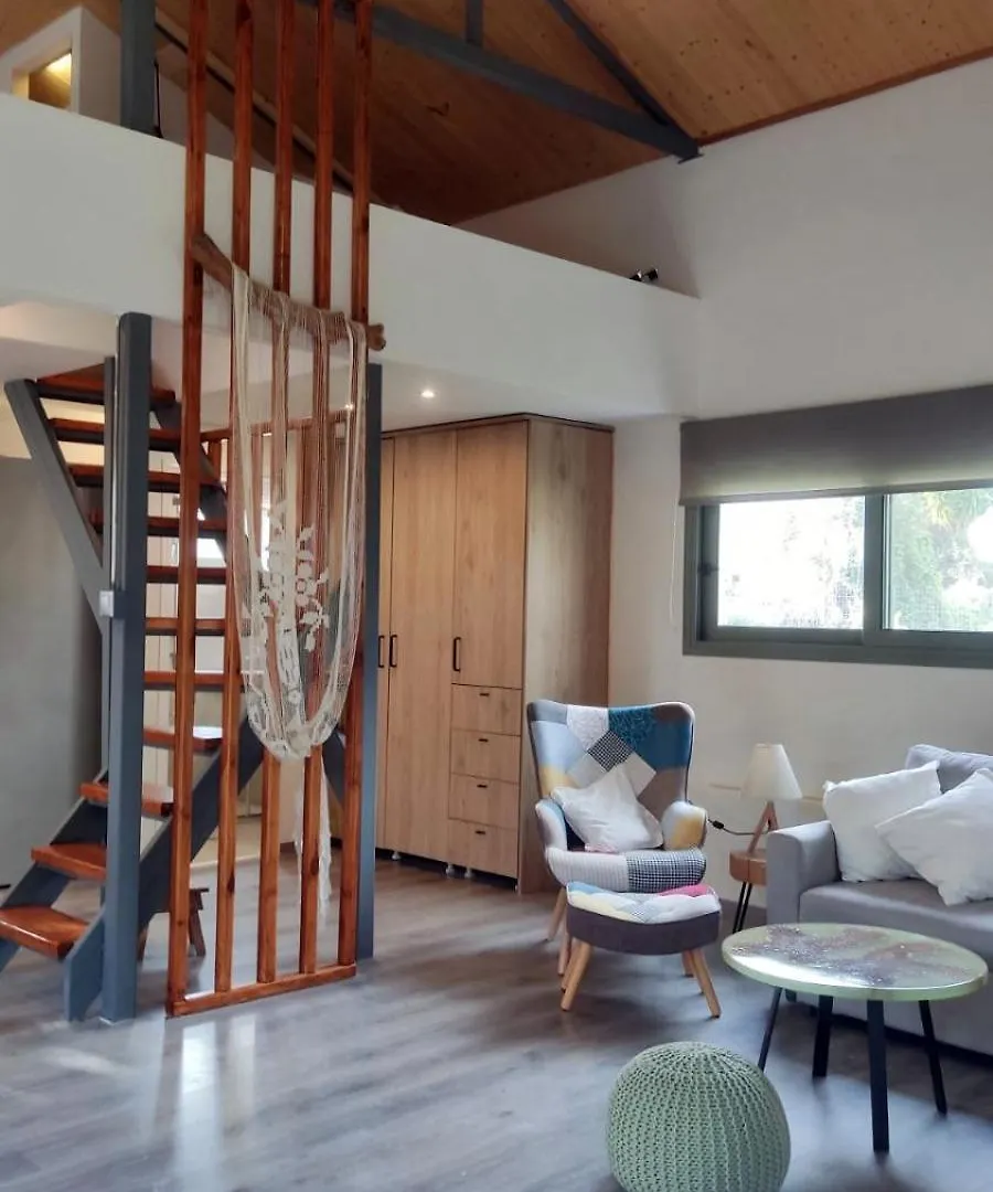 Artist'S Loft Apartment Pesadha